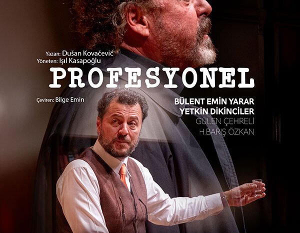 Profesyonel